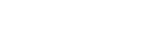 2NE1